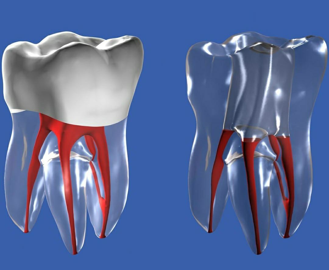 SKY DENT MULTI SPECIALITY DENTAL CLINIC NADAPURAM